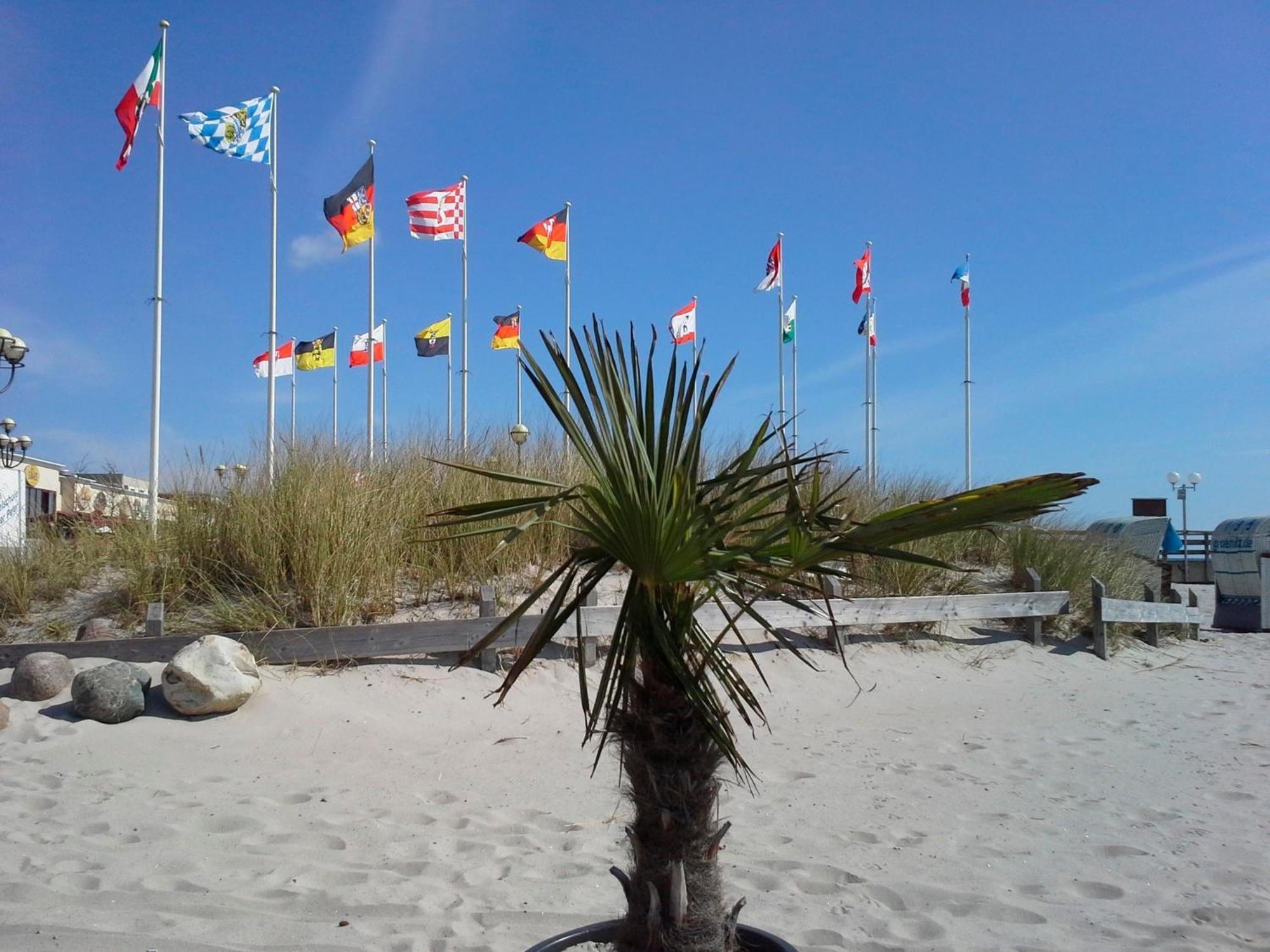 Haus Baltic - Whg 23 - Neu Inkl Saisonstrandkorb! Grömitz المظهر الخارجي الصورة